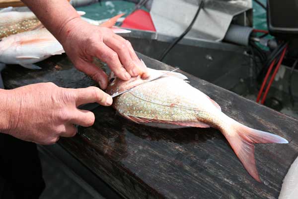 cleaning fish How to clean fish